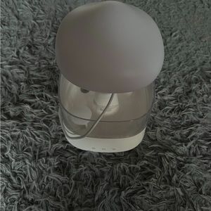 tiktok rain humidifier and diffuser